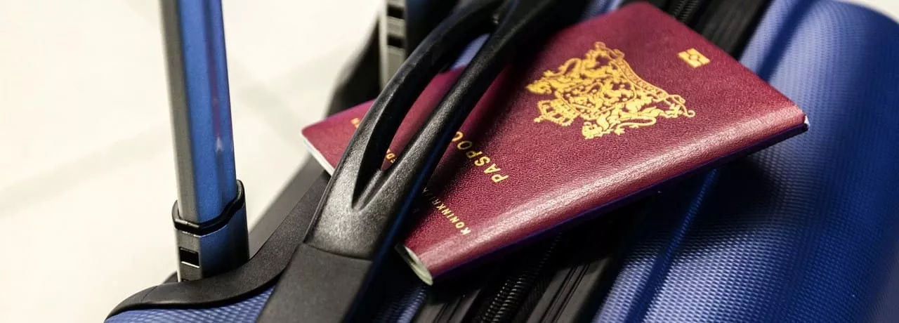 Diurna Romania 2024 - troller, pasaport fixat sub maner - Pluxee 
