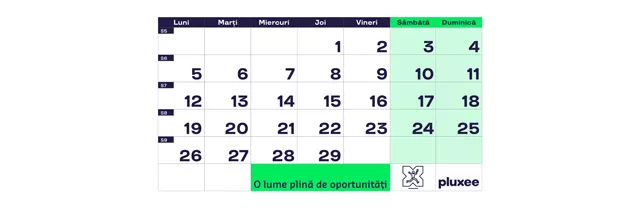 Calendar februarie 2024. Zile lucratoare februarie 2024. Zile libere februarie 2024 - Pluxee